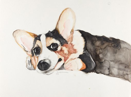 WinnerYulong Qiuage 16Ginger dogpencil, watercolour
This is the angel in my heart, his eyes are the brightest eyes I’ve ever seen. After I met him, I decided to draw him from my memory.